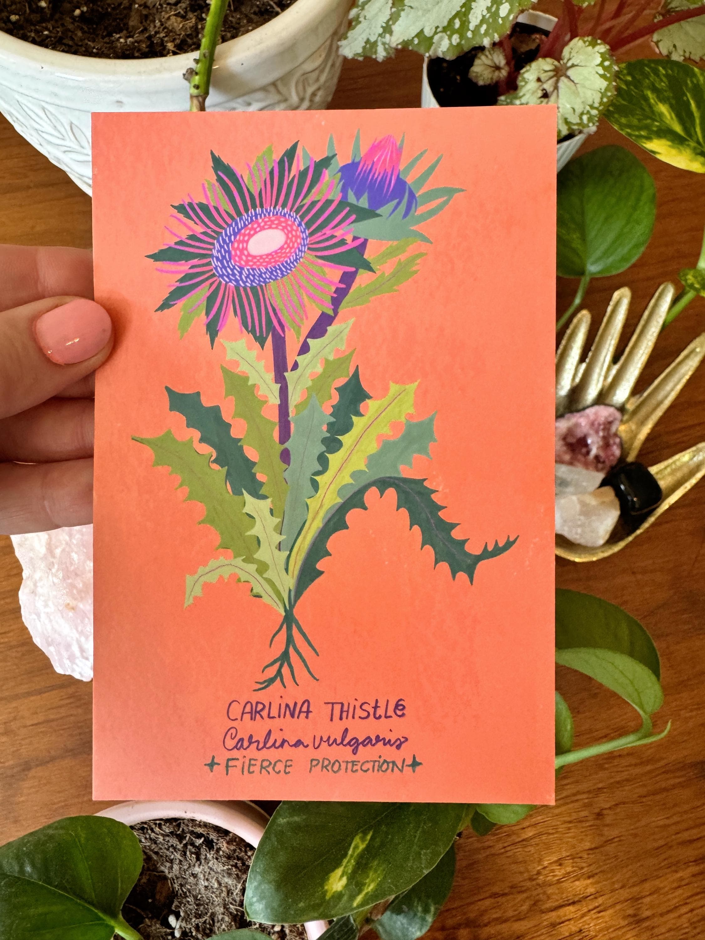 Strange and Wondrous Plant Postcards | Set of 10