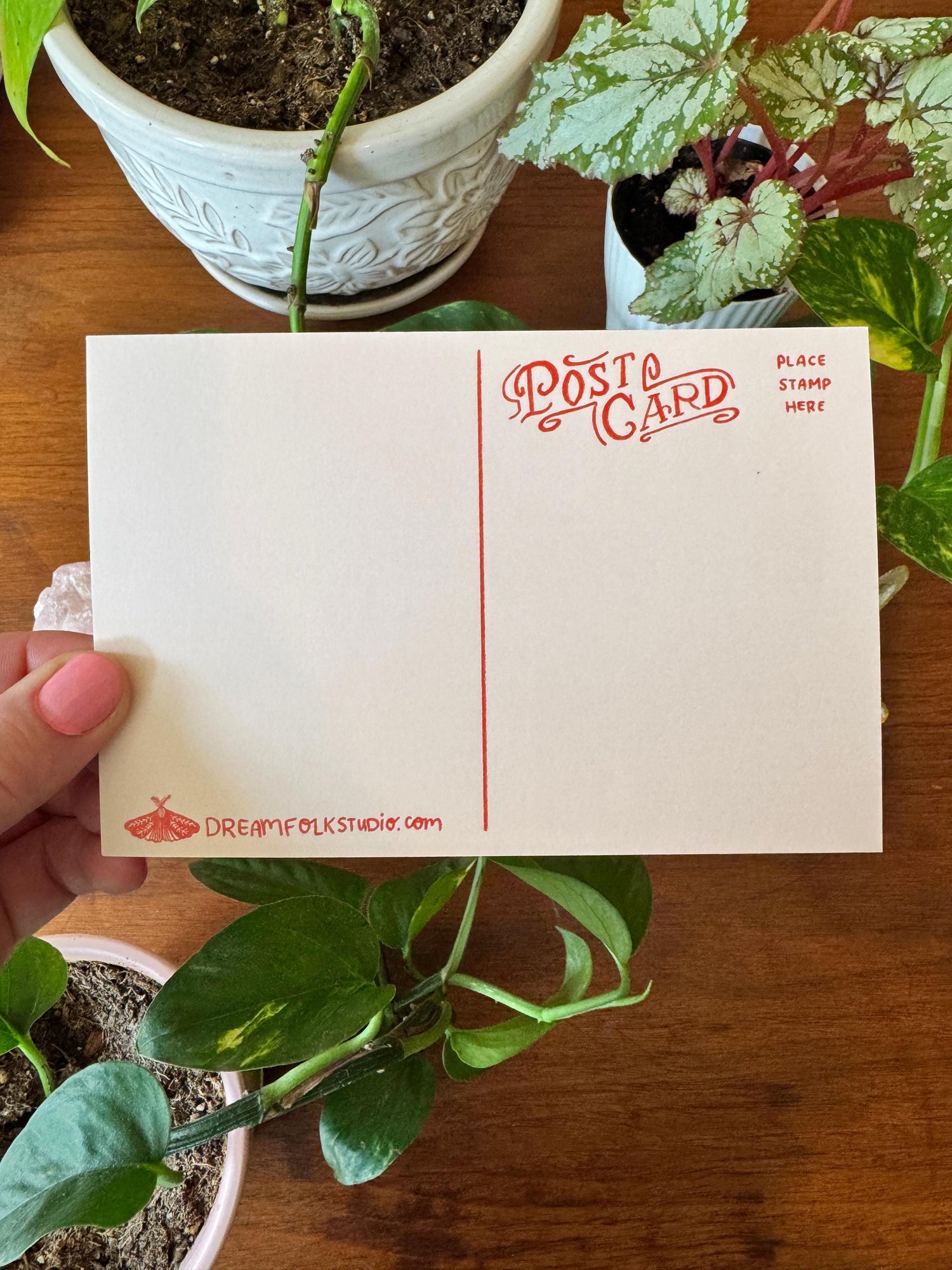 Strange and Wondrous Plant Postcards | Set of 10