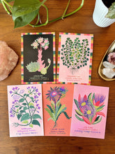 Strange and Wondrous Plant Postcards | Set of 10