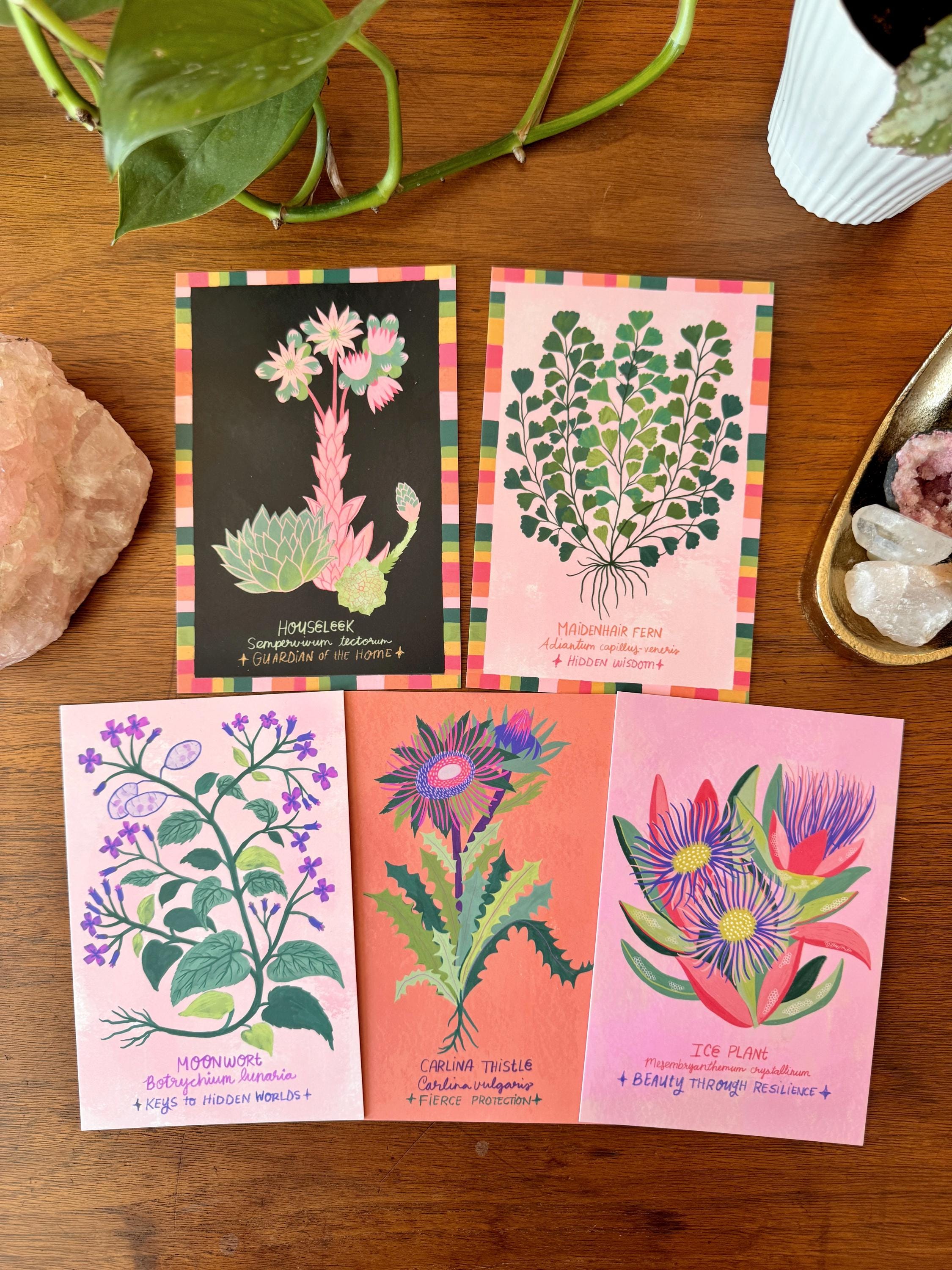Strange and Wondrous Plant Postcards | Set of 10
