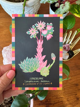 Strange and Wondrous Plant Postcards | Set of 10