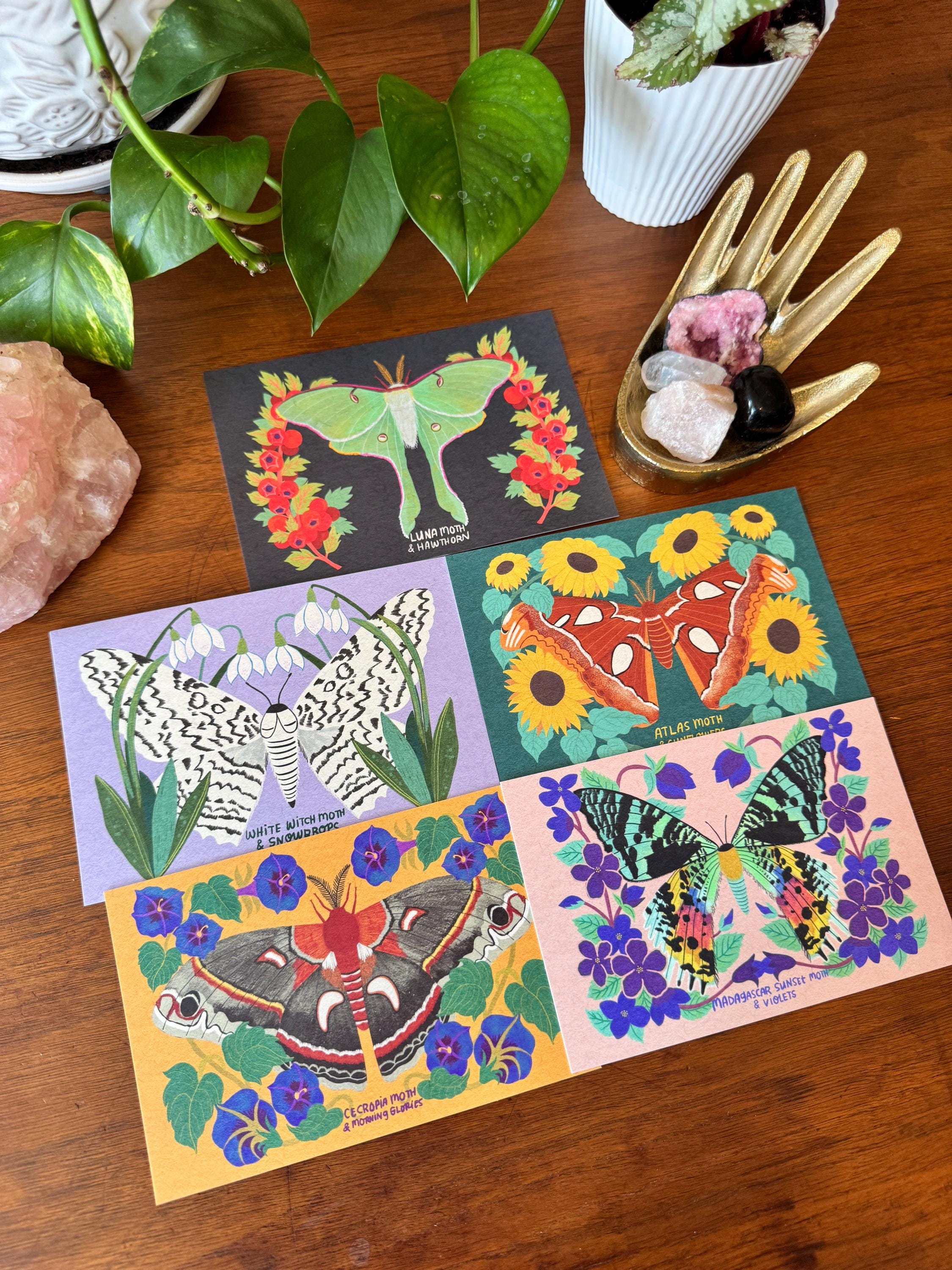 Moth and Flower Postcard Pack | Set of 10 | Hand Illustrated Insect Cards