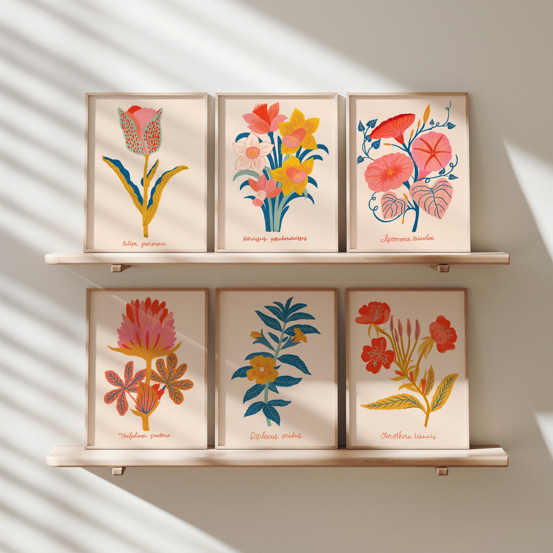 Botanical Print Set of 6, Wildflower Gallery Wall, Folk Art Botanical Prints, Cottagecore Wall Decor
