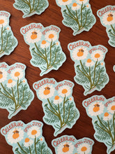 Celebrate Small Joys Sticker, Bee and Daisy Sticker, Positive Nature Sticker