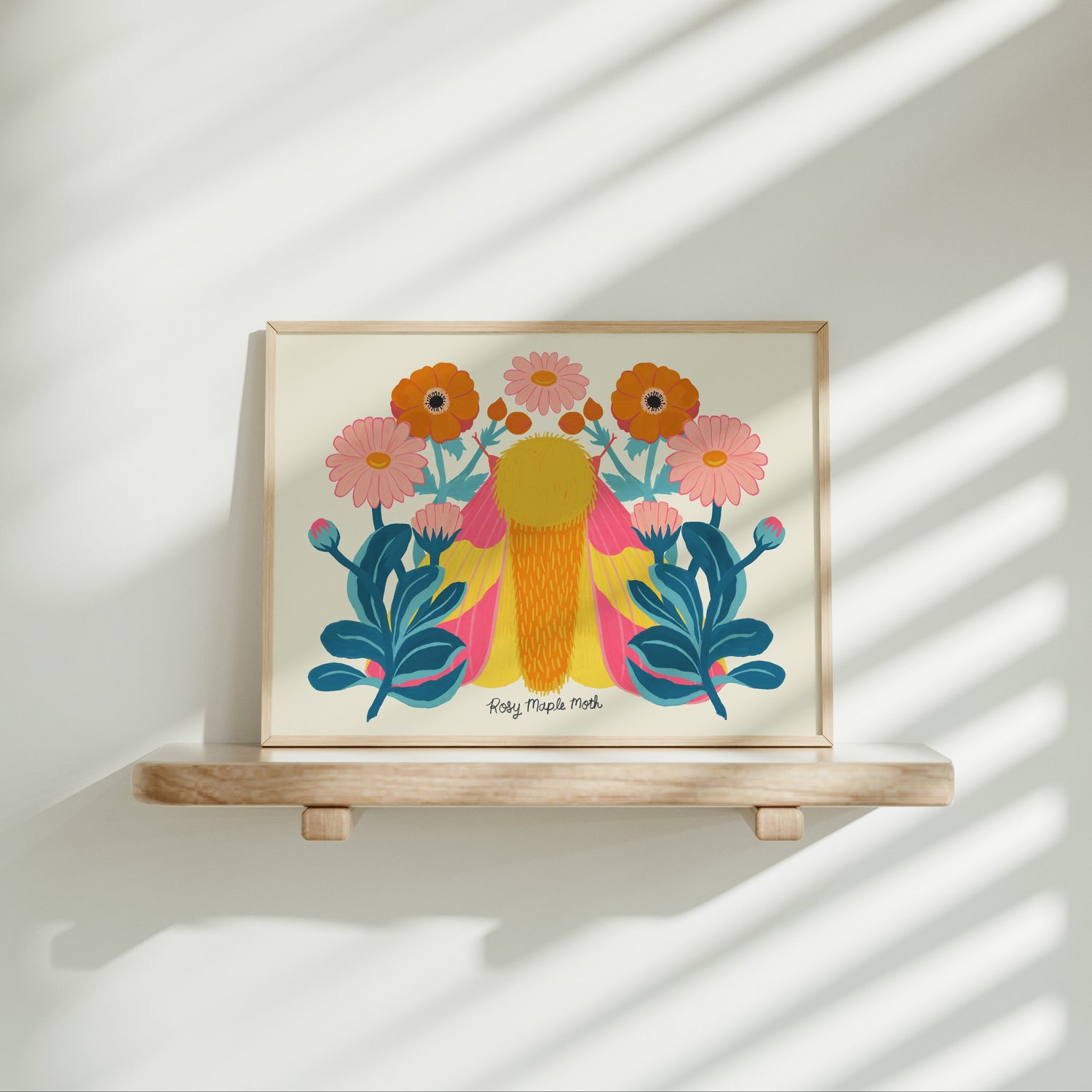 Rosy Maple Moth | Daisies and Anemones - Art Print