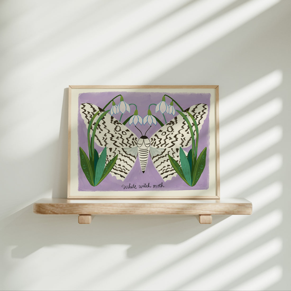 White Witch Moth and Snowdrops - Art Print