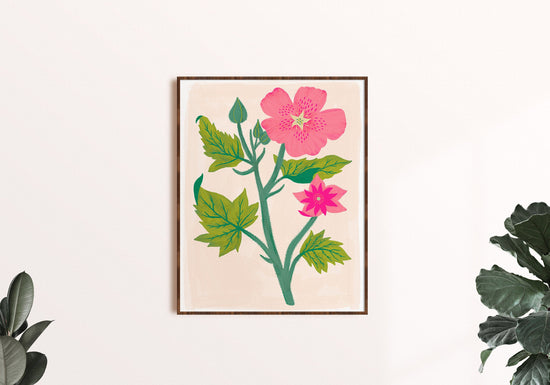 Pink Mallow Flower - Art Print - Dark Background