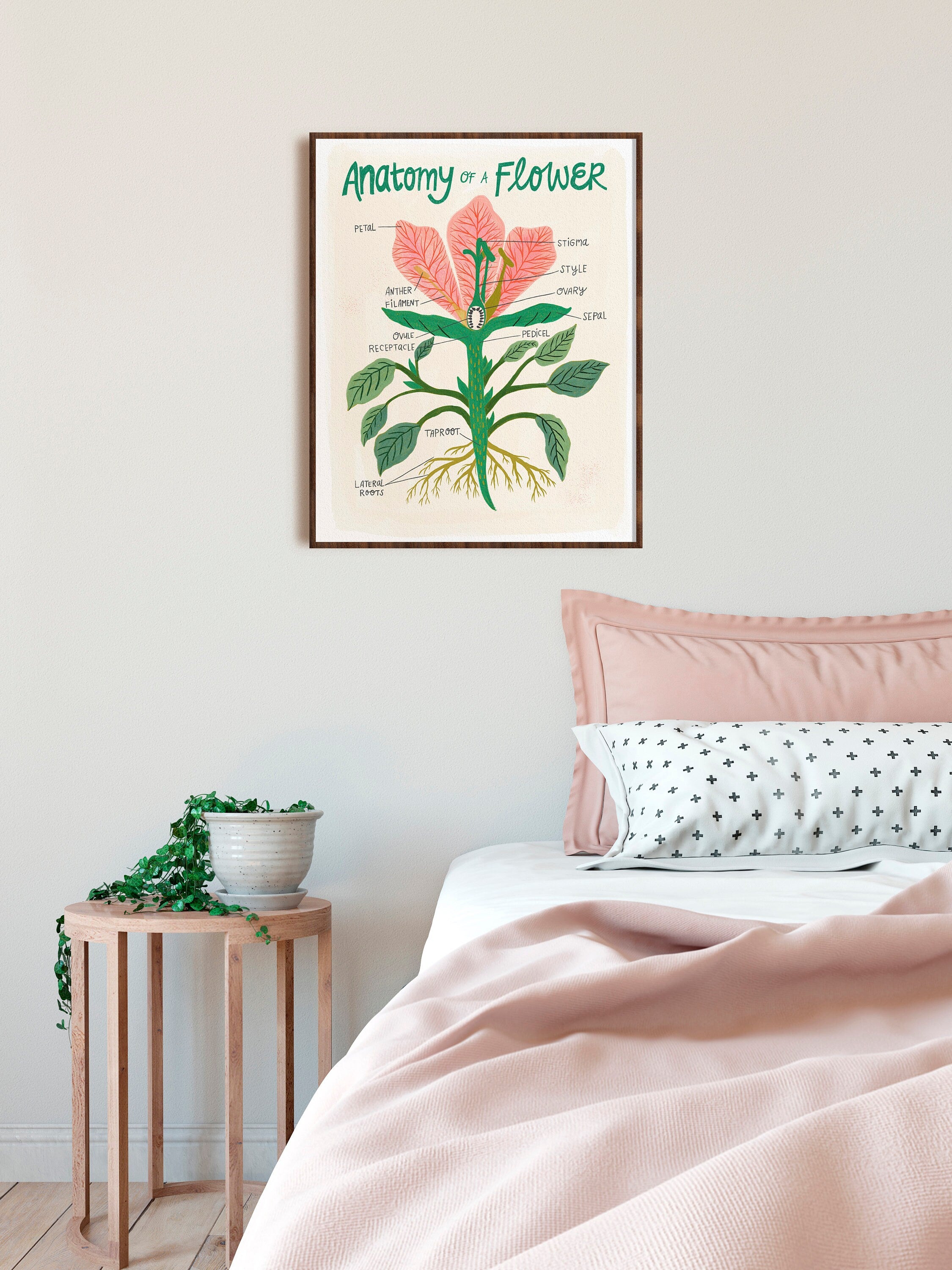 Plant Anatomy Scientific Chart - Art Print