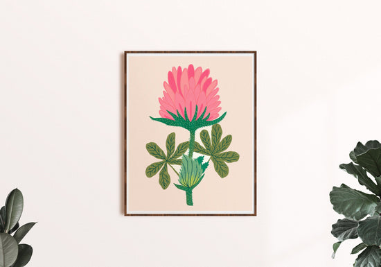 Wild Clover Flower - Art Print