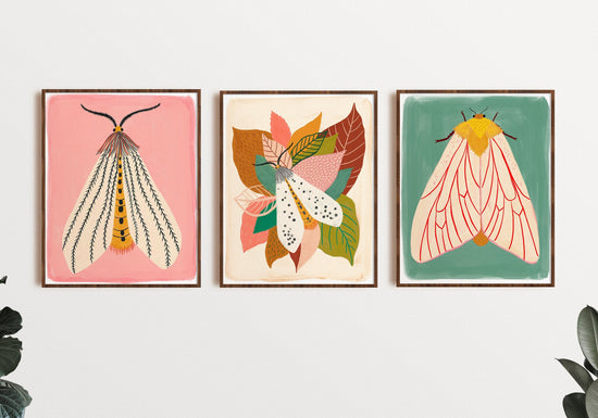 Moth Art Print Set of 3