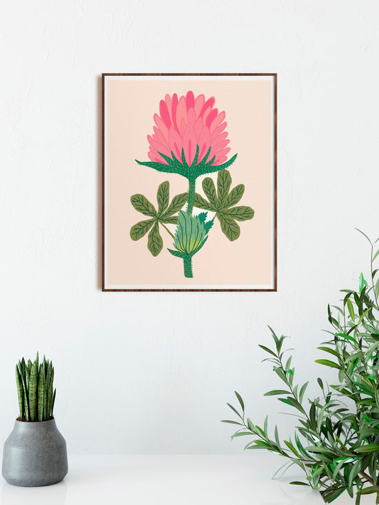 Wild Clover Flower - Art Print