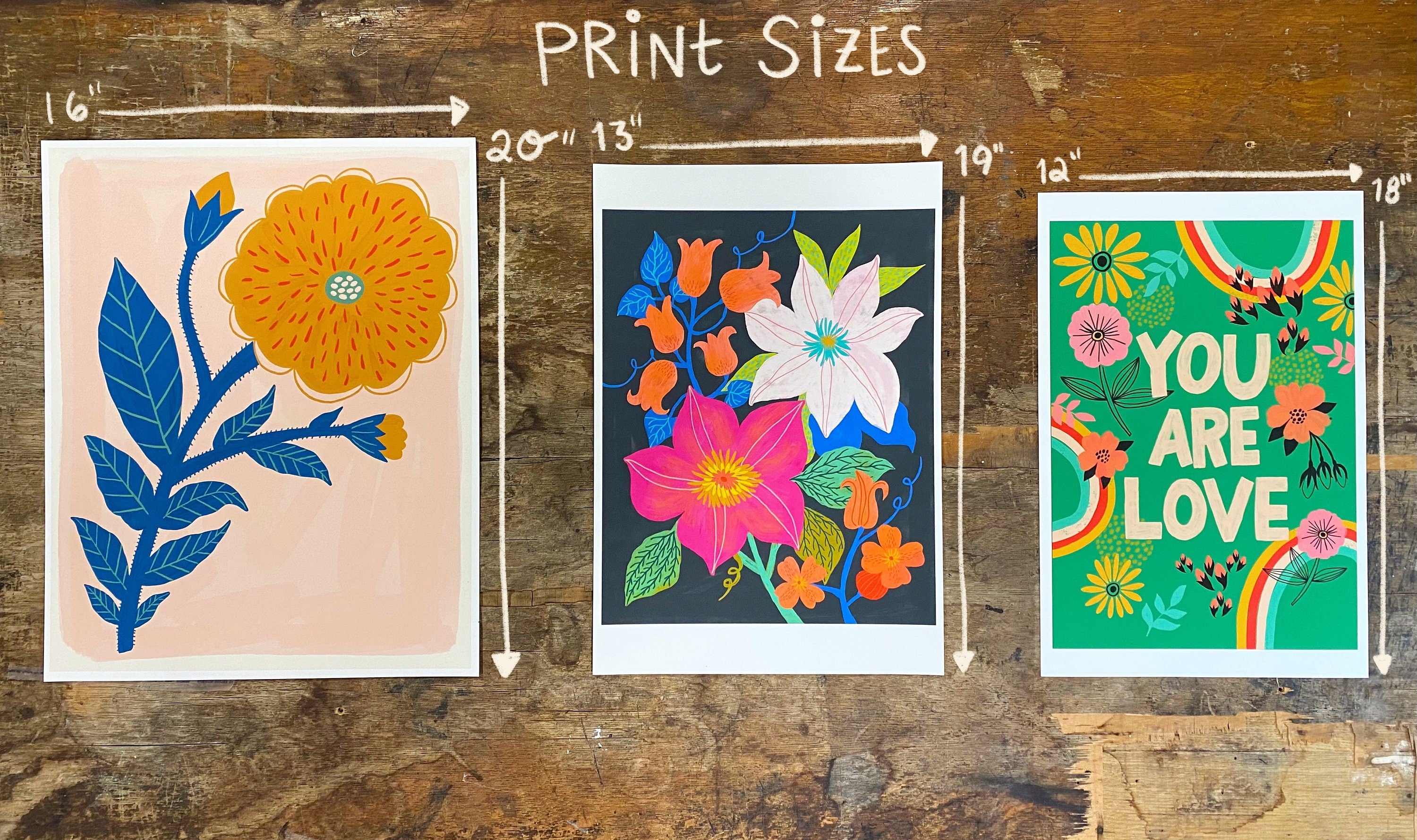 Pink Daisies - Art Print