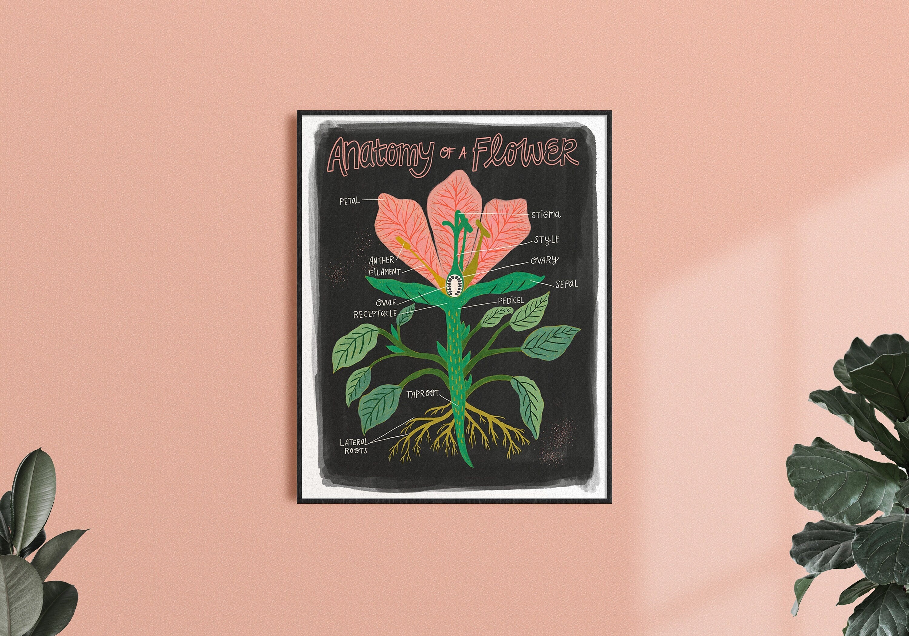 Plant Anatomy Scientific Chart - Art Print