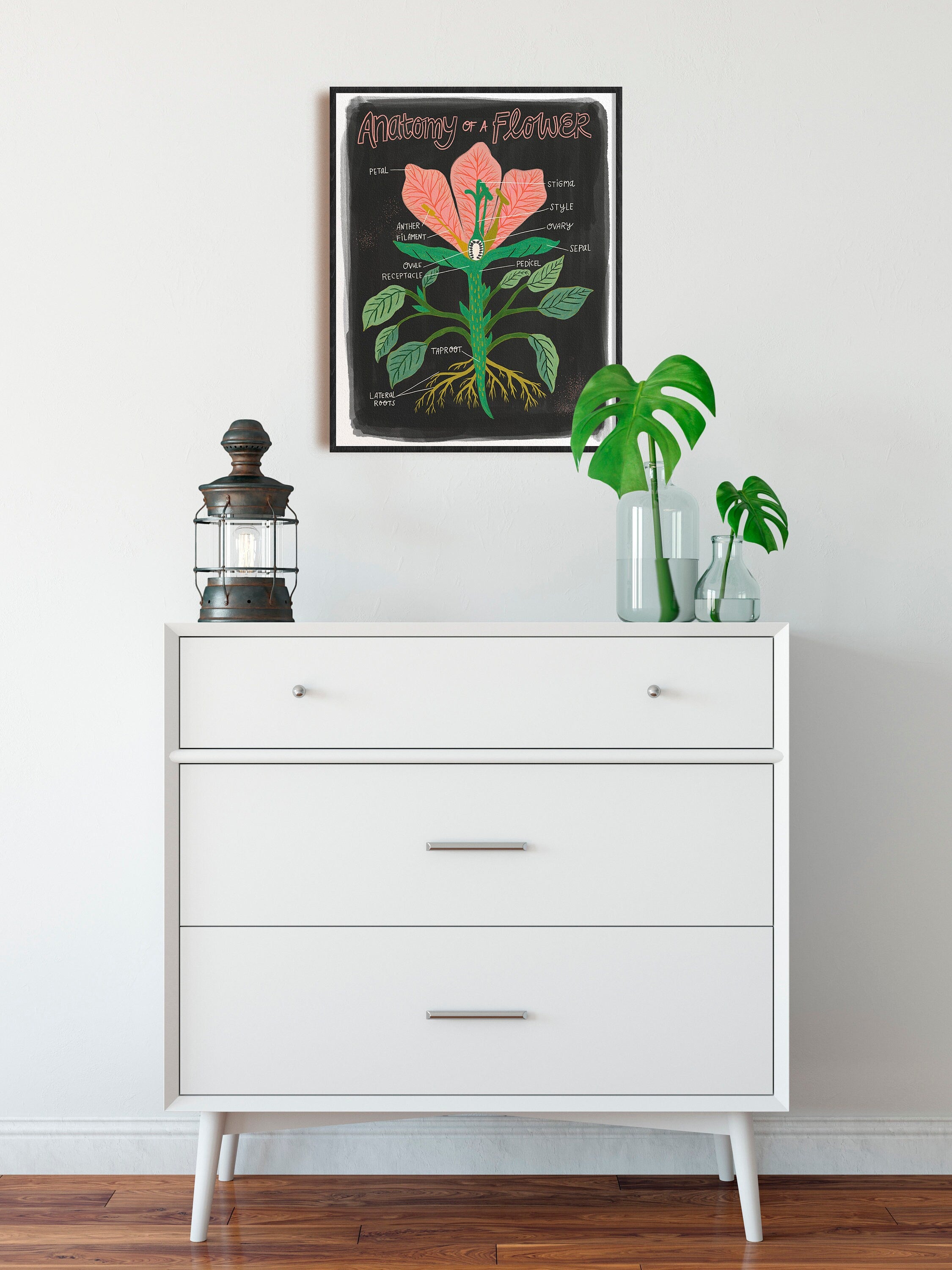 Plant Anatomy Scientific Chart - Art Print