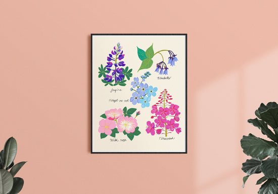 North American Wildflowers - Art Print