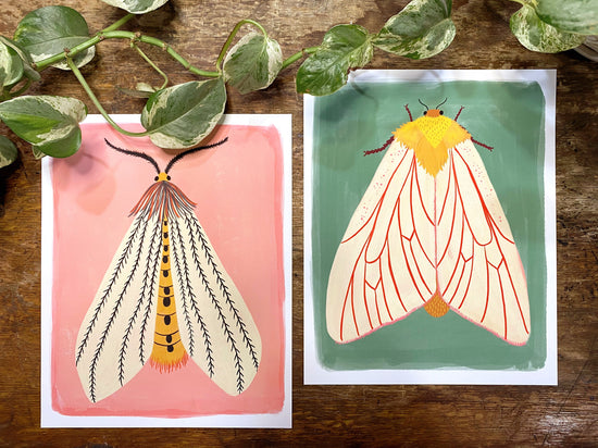 Moth Art Print Set of 2