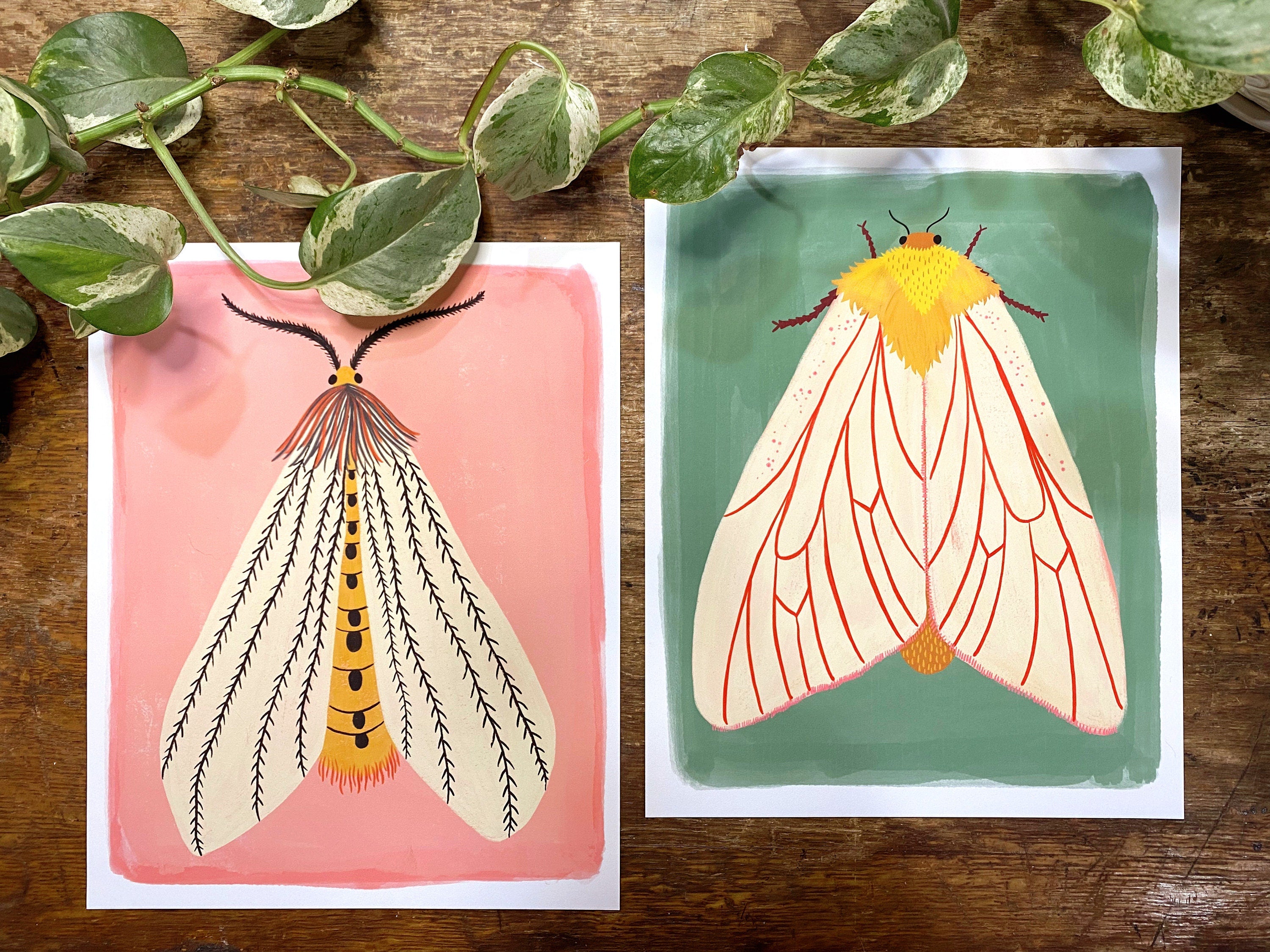 Moth Art Print Set of 2